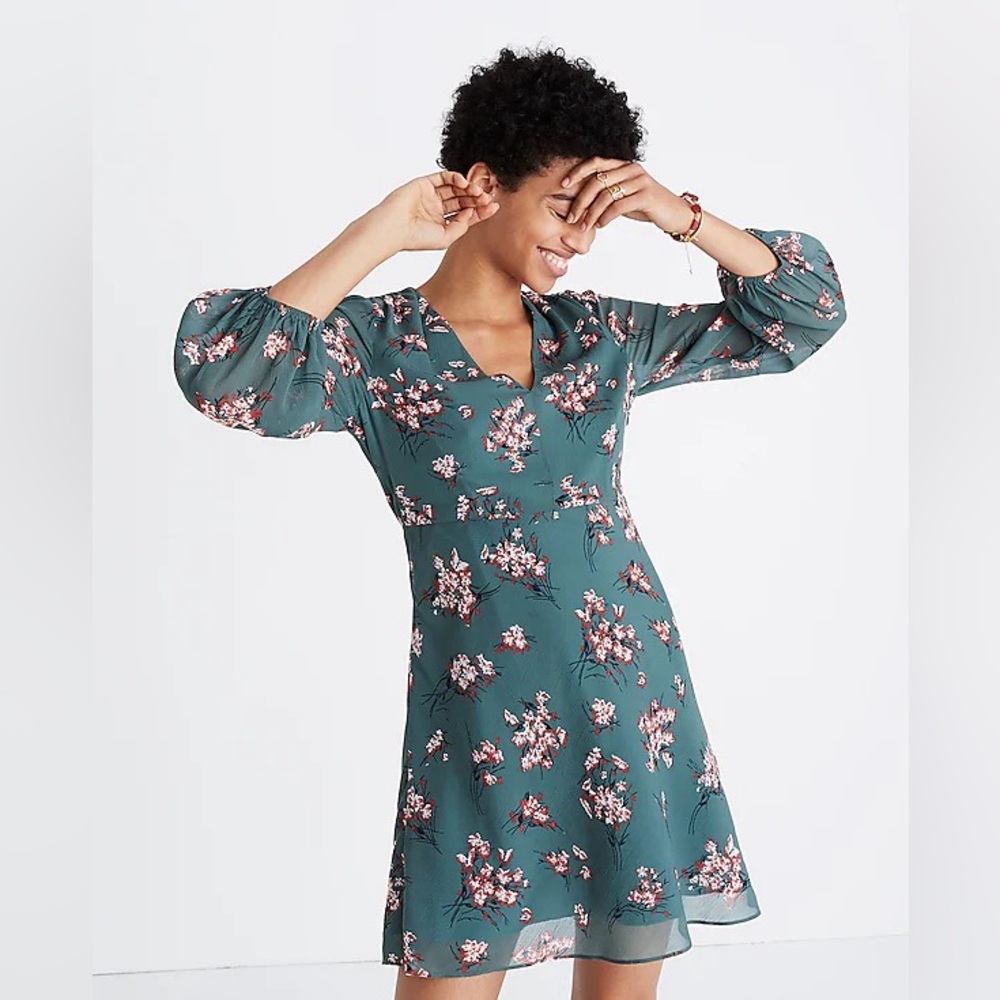 Madewell Marguerite Dress in Butterfly Garden Green 3/4 Sleeves Size 4